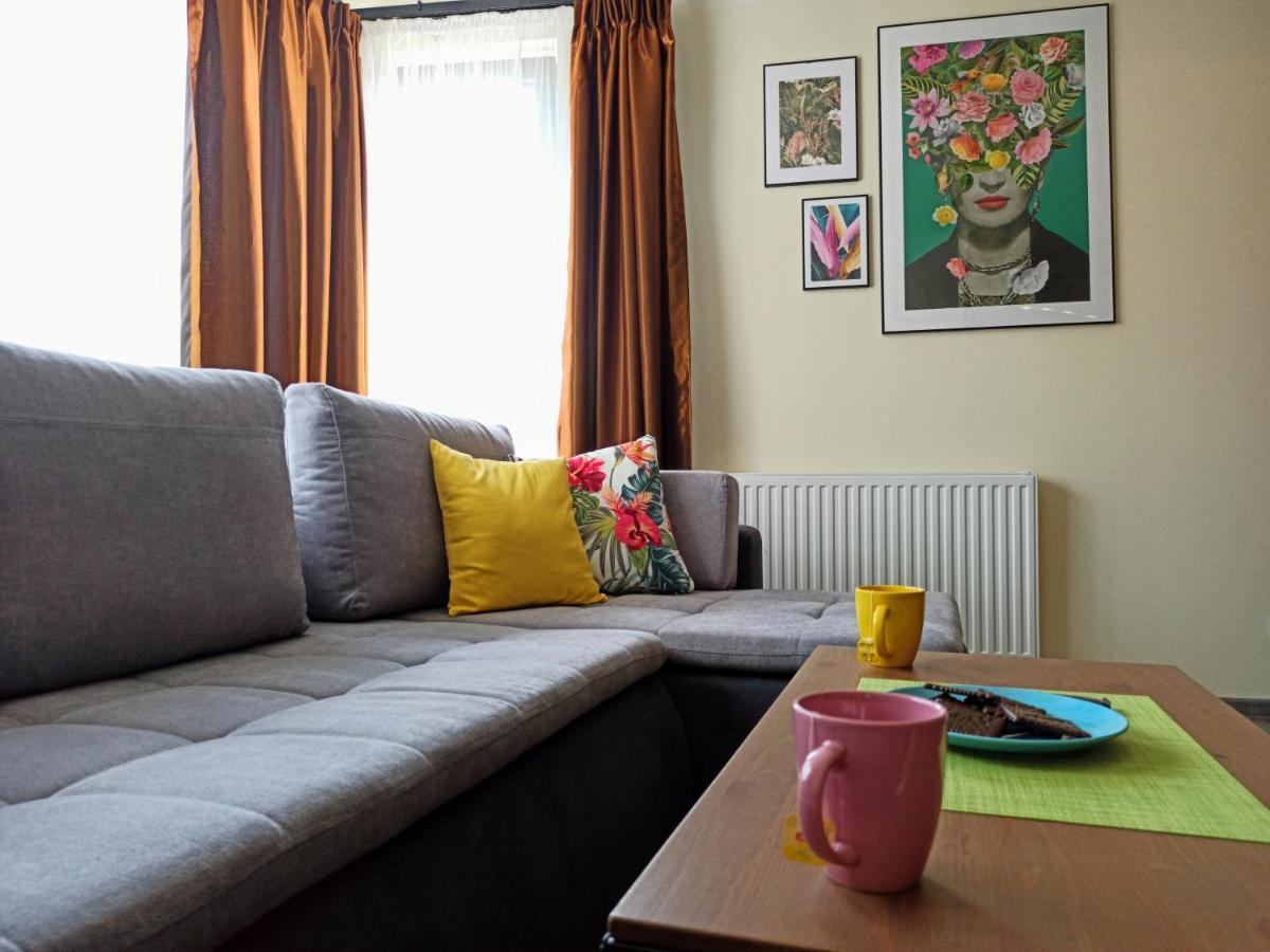 Fajny Kat - Apartamenty W Centrum, Najwyzsze Opinie Gosci Jelenia Góra Exterior foto