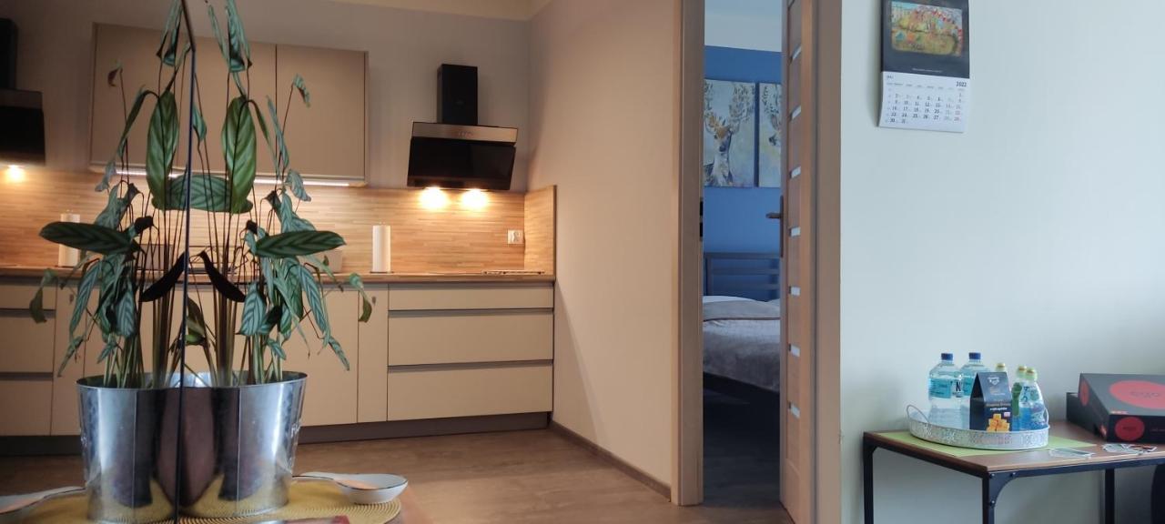Fajny Kat - Apartamenty W Centrum, Najwyzsze Opinie Gosci Jelenia Góra Exterior foto